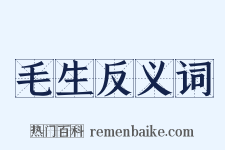 毛生反义词是什么意思的图片